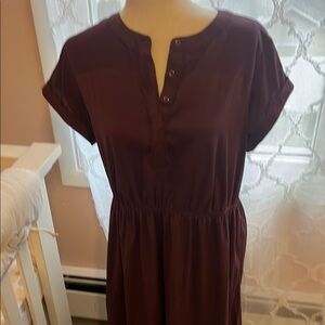 Elegant Burgundy Button-Up Dress